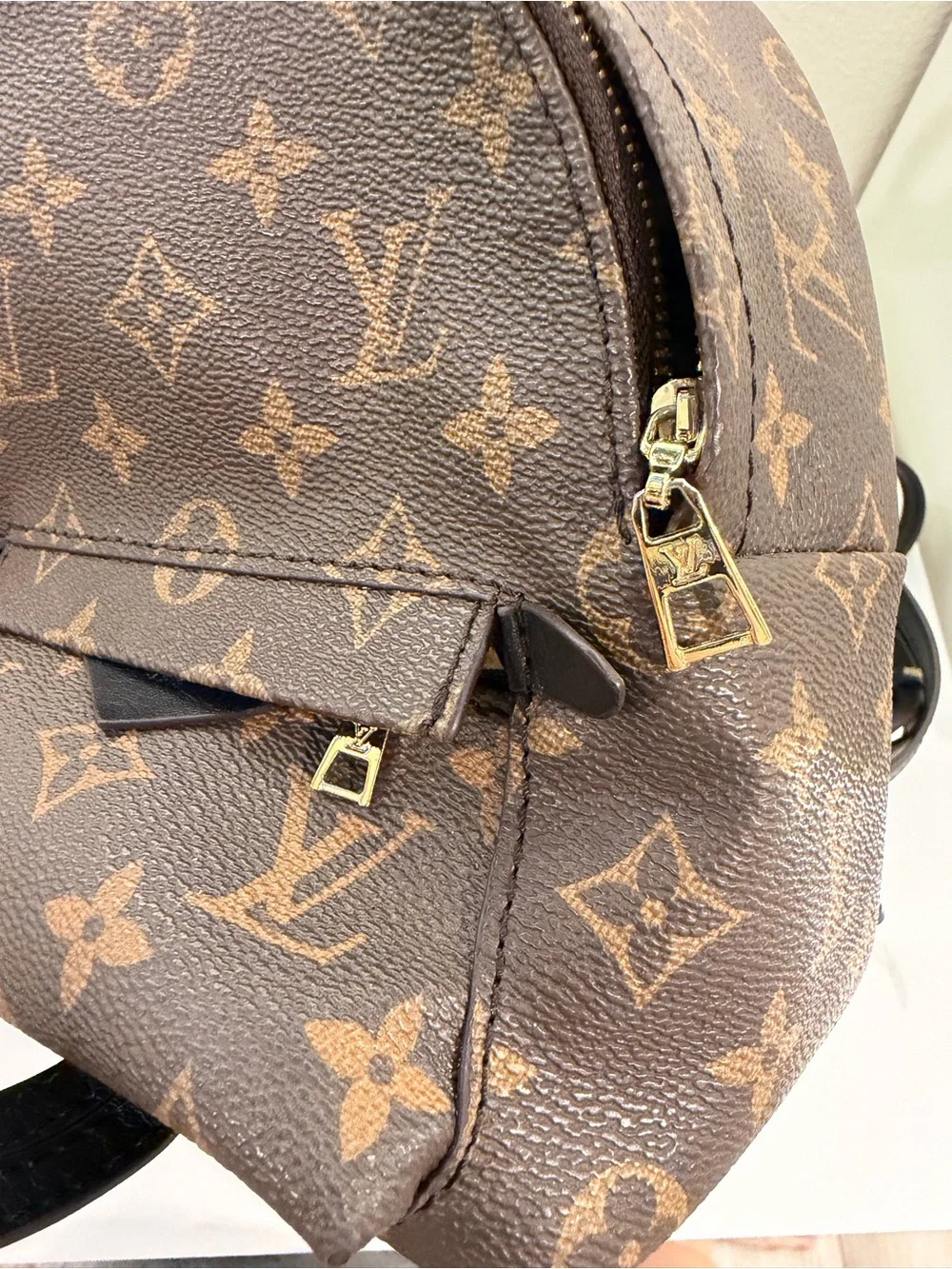 Louis Vuitton Monogram Mini palm Backpack